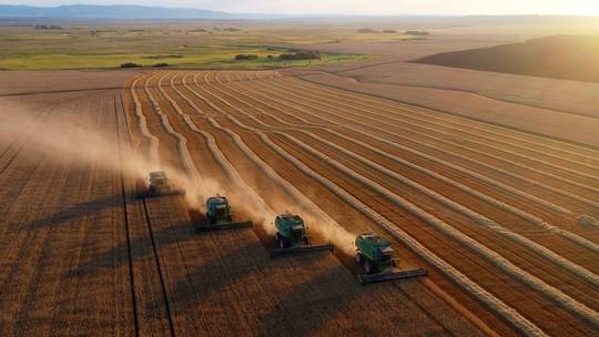 俄罗斯将获得有史以来最大的小麦收成
