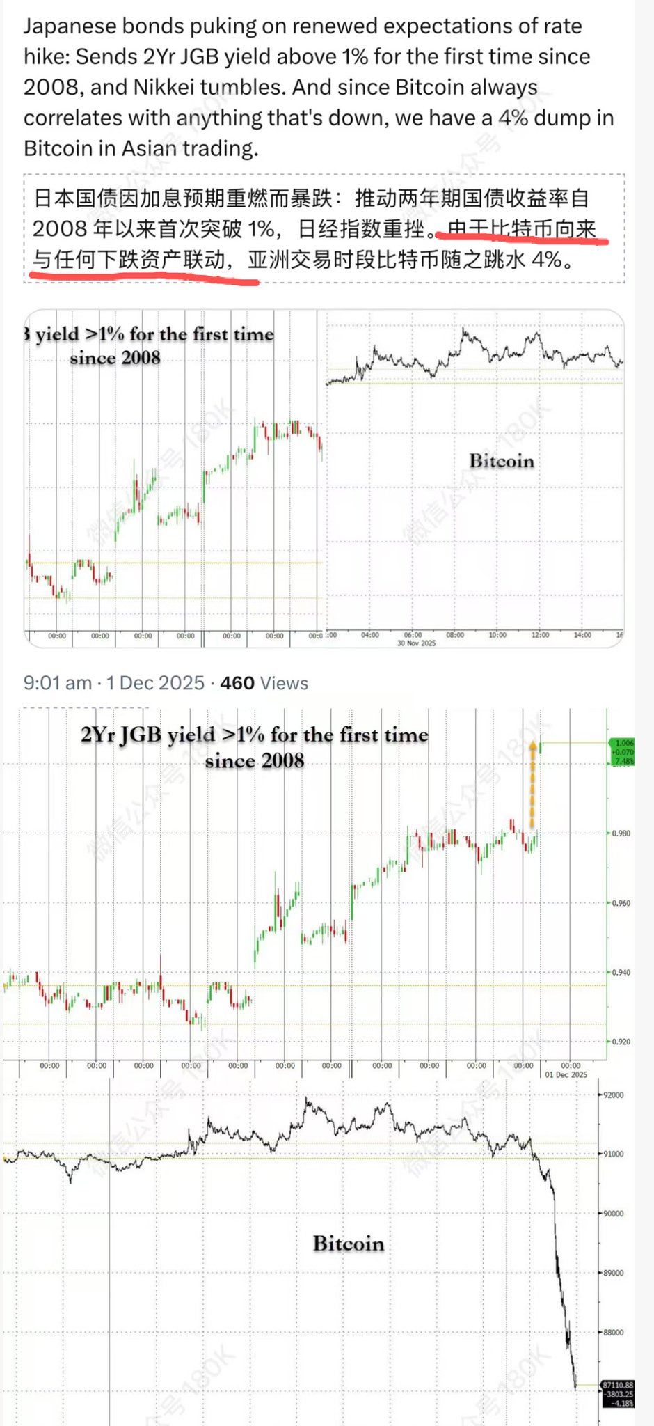 1764570241391213.jpeg 1764570241391213.jpeg